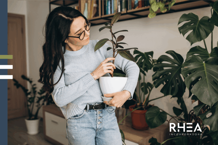 4 dicas para seu espaço sustentável