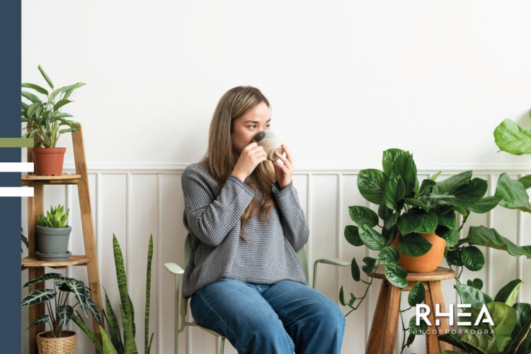 Plantscaping: como usar essa estratégia em sua casa